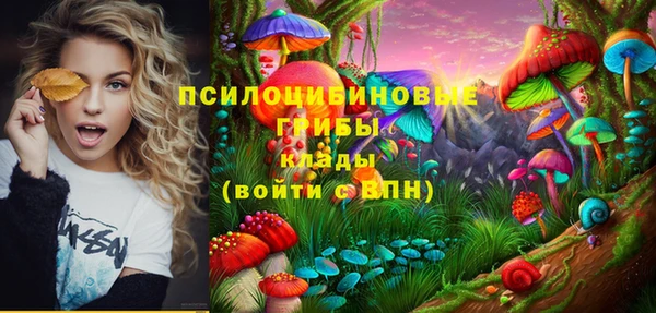 индика Богородск