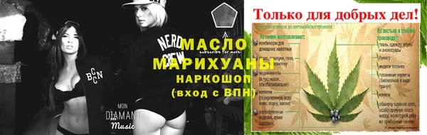 индика Богородск