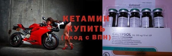 индика Богородск