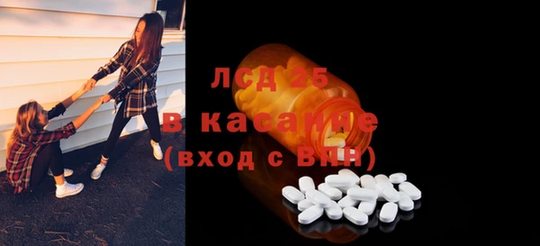 индика Богородск