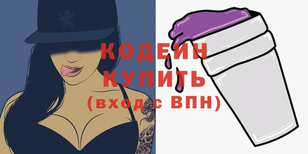 индика Богородск