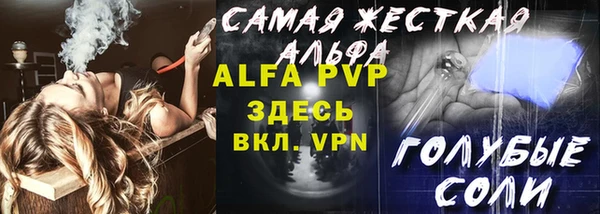 индика Богородск