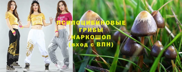 альфа пвп Богородицк