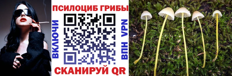 Купить закладки Заводоуковск Псилоцибиновые грибы прущие грибы
